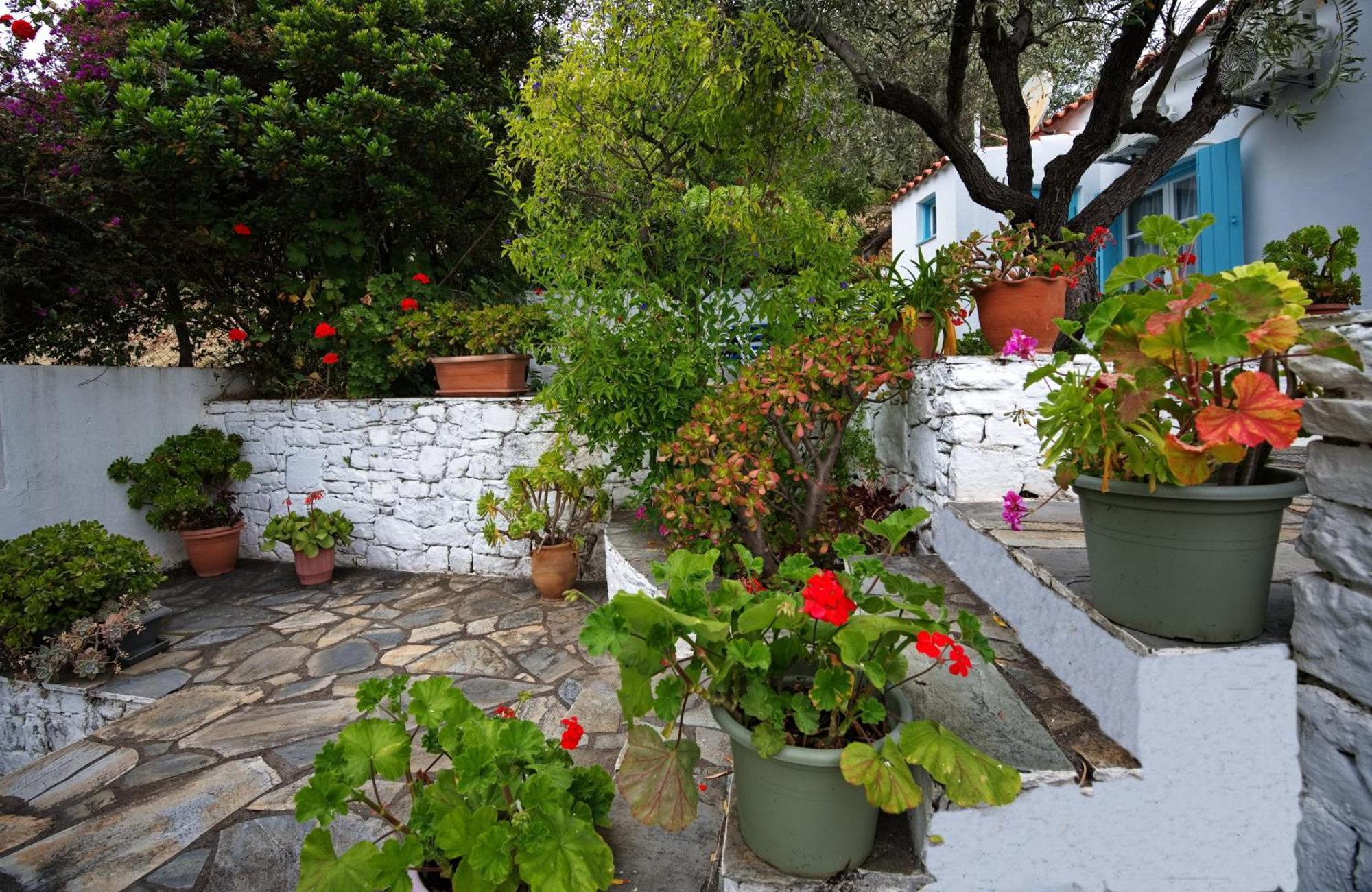 Limani Cottage Steni Vala Alonissos Exteriör bild
